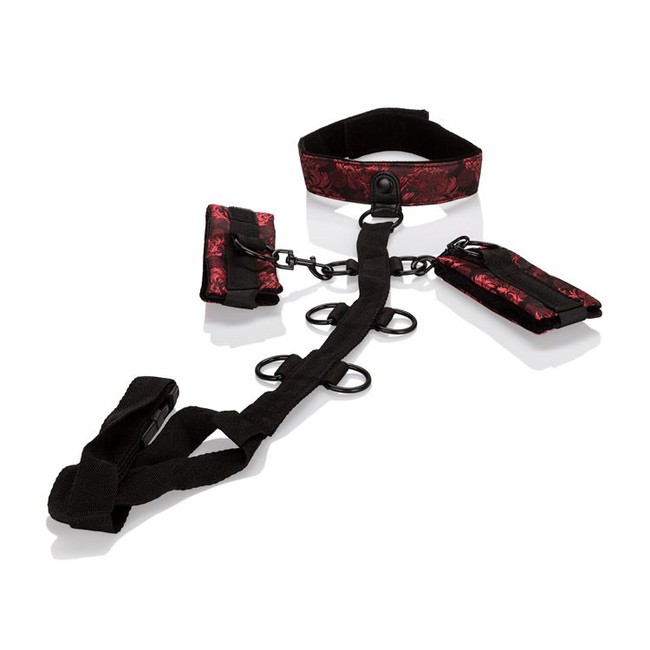 Фиксация для рук и шеи Scandal Collar Body Restraint